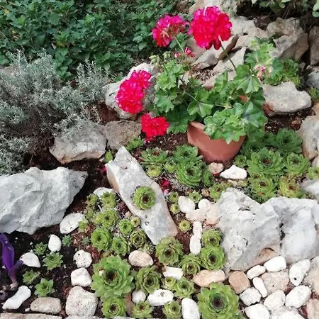 Dani Ražanj